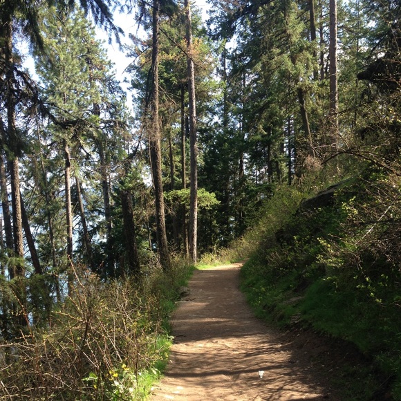 Meet your Posher, Ally - Picture 2 of 3